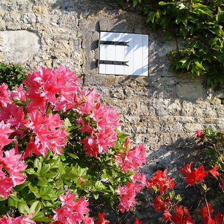 Manoir De La Pataudiere B&B Villers-Canivet Eksteriør bilde