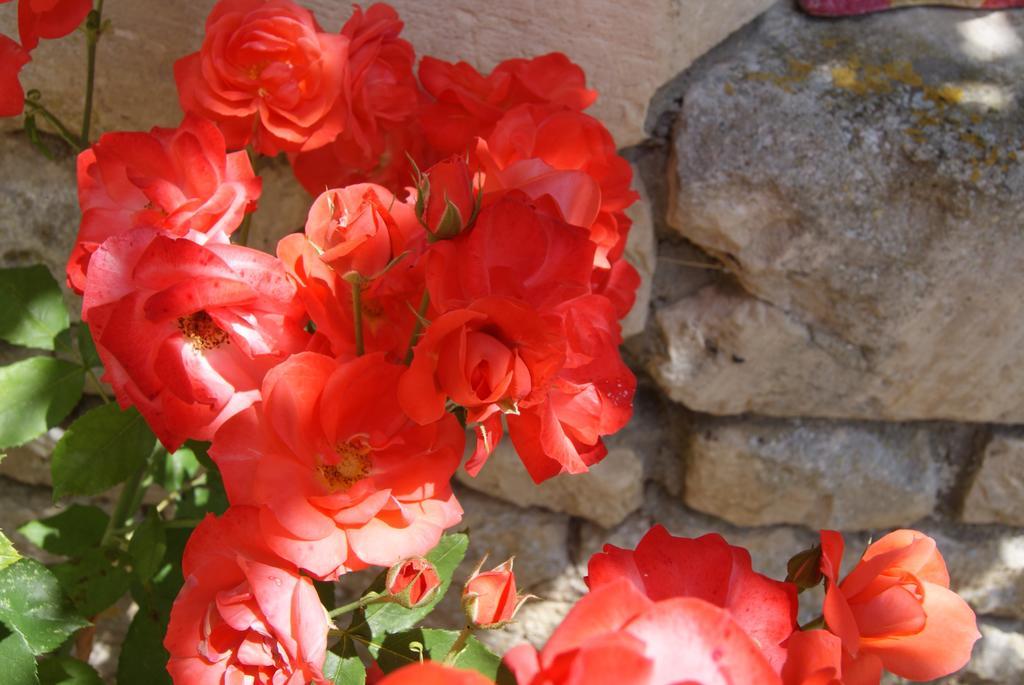 Manoir De La Pataudiere B&B Villers-Canivet Rom bilde