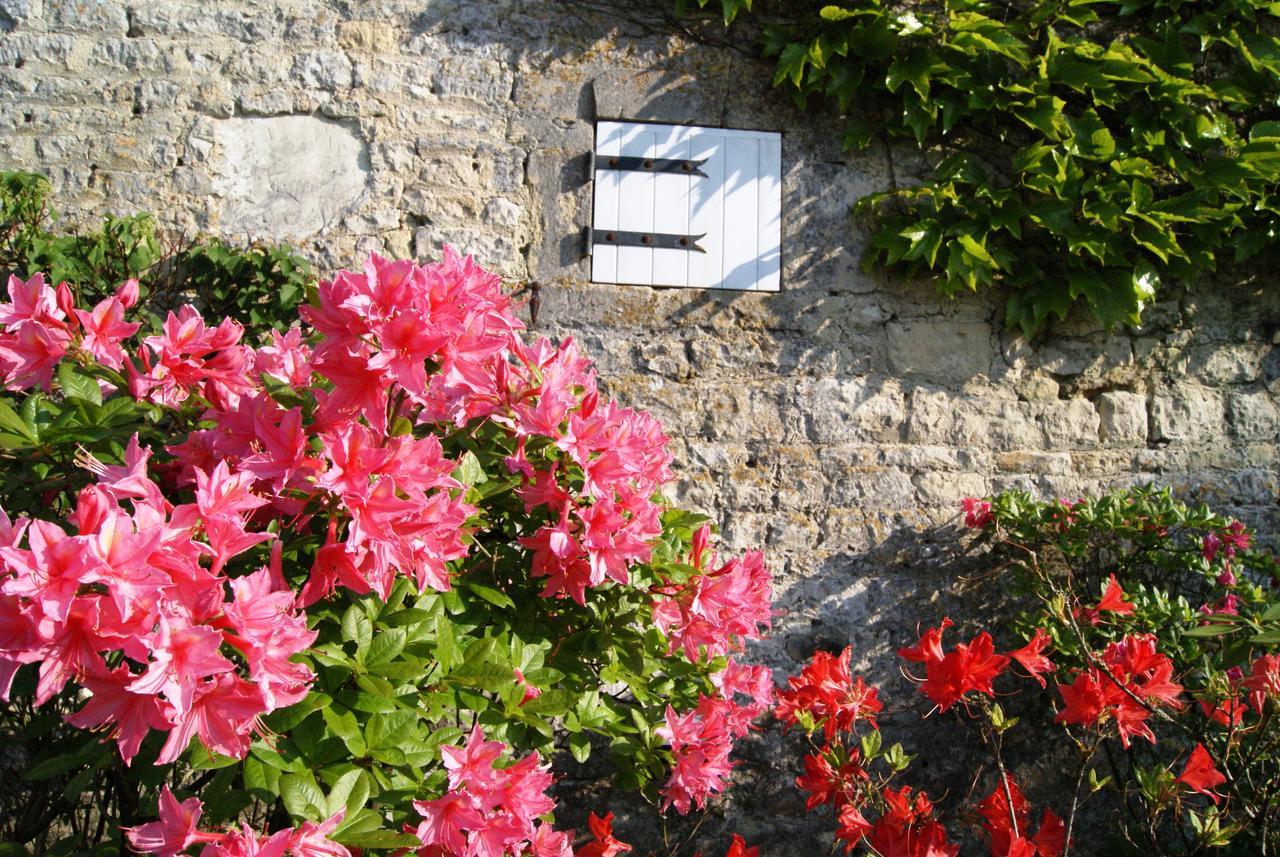 Manoir De La Pataudiere B&B Villers-Canivet Eksteriør bilde